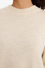 Oversize Wide Pattern Crew Neck Knitwear Sweater