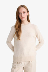 Regular Fit Crew Neck Knitwear Sweater