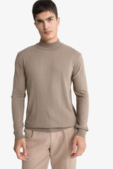 Standard Fit Turtleneck Knit Sweater