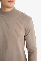Standard Fit Turtleneck Knit Sweater