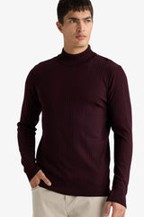 Standard Fit Turtleneck Knit Sweater