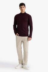 Standard Fit Turtleneck Knit Sweater