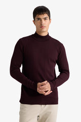 Standard Fit Turtleneck Knit Sweater