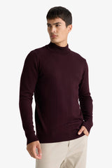 Standard Fit Turtleneck Knit Sweater