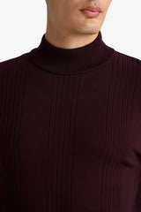 Standard Fit Turtleneck Knit Sweater