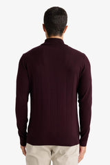 Standard Fit Turtleneck Knit Sweater