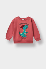Baby Boy Crew Neck Dinosaur Printed Soft Furry Inside Sweatshirt