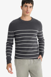 Standard Fit Crew Neck Striped Knit Sweater
