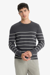 Standard Fit Crew Neck Striped Knit Sweater