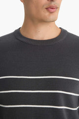 Standard Fit Crew Neck Striped Knit Sweater