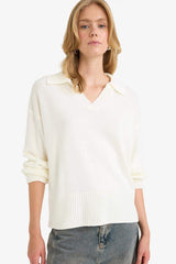 Oversize Loose Fit Polo Collar Knit Sweater