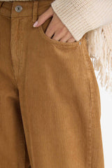 Straight Wide Zippered Regular Waist Standard Length Velvet Trousers