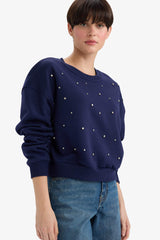 Boxy Fit Crew Neck Embroidered Thick Sweatshirt