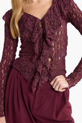 Slim Fit Slim Cut V Neck Flounce Lace Long Sleeve Blouse