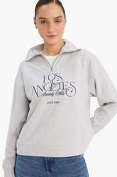 Regular Fit Half-Zip Printed Sweatshirt