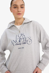 Regular Fit Half-Zip Printed Sweatshirt