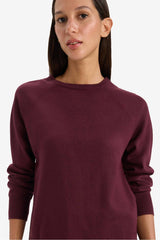 Relax Fit Crew Neck Basic Plain Knit Sweater