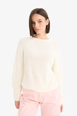 Regular Fit Crew Neck Knitwear Sweater