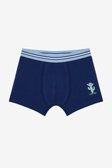Boy Lucky Boy Multicolored 2-Pack Boxer