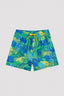 Boys Colorful Dinosaur Sea Shorts