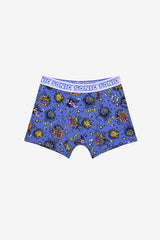 Boy Sonic 2-Pack Multicolored Boxer