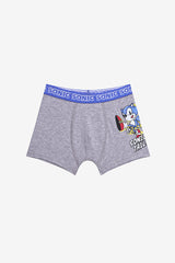 Boy Sonic 2-Pack Multicolored Boxer