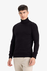 Slim Fit Slim Cut Turtleneck Basic Plain Knitwear Sweater