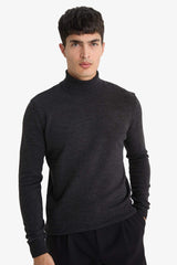 Slim Fit Slim Cut Turtleneck Basic Plain Knitwear Sweater