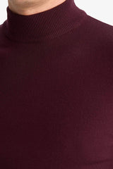 Slim Fit Slim Cut Turtleneck Basic Plain Knitwear Sweater