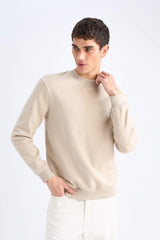 Regular Fit Crew Neck Thick Basic Plain Sweatshirt