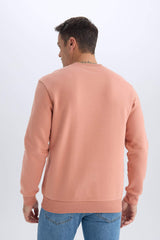 Regular Fit Crew Neck Thick Basic Plain Sweatshirt