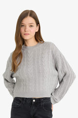 Cool Regular Fit Crew Neck Knit Sweater