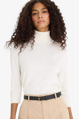 Regular Fit Turtleneck Half Sleeve Basic Plain Knitwear Sweater