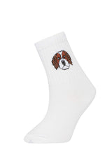 Boy 5 Pcs Cotton Long Socks