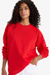Oversized, loose fit, crew neck, basic, simple thick sweatshirt