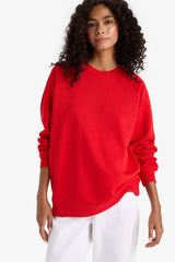 Oversized, loose fit, crew neck, basic, simple thick sweatshirt