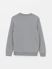 LCW Kids
Gray Crew Neck Printed Long Sleeve Boy T-Shirt