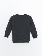 LCW baby
Anthracite Crew Neck Printed Baby Boy Sweatshirt