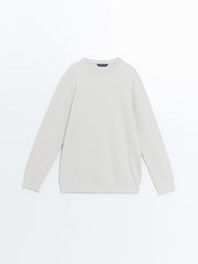LCW Classic Crew Neck Long Sleeve Men Textured Sweatshirt
