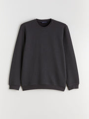 LCW Classic Crew Neck Long Sleeve Men Textured Sweatshirt