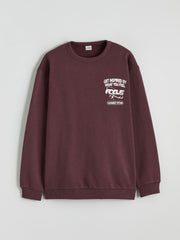 LCW Kids Printed Boys Thick Sweatshirt