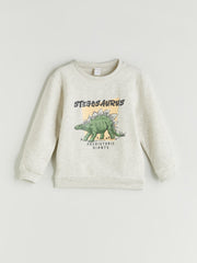 LCW Kids Crew Neck Printed Boys Thick Sweatshirt