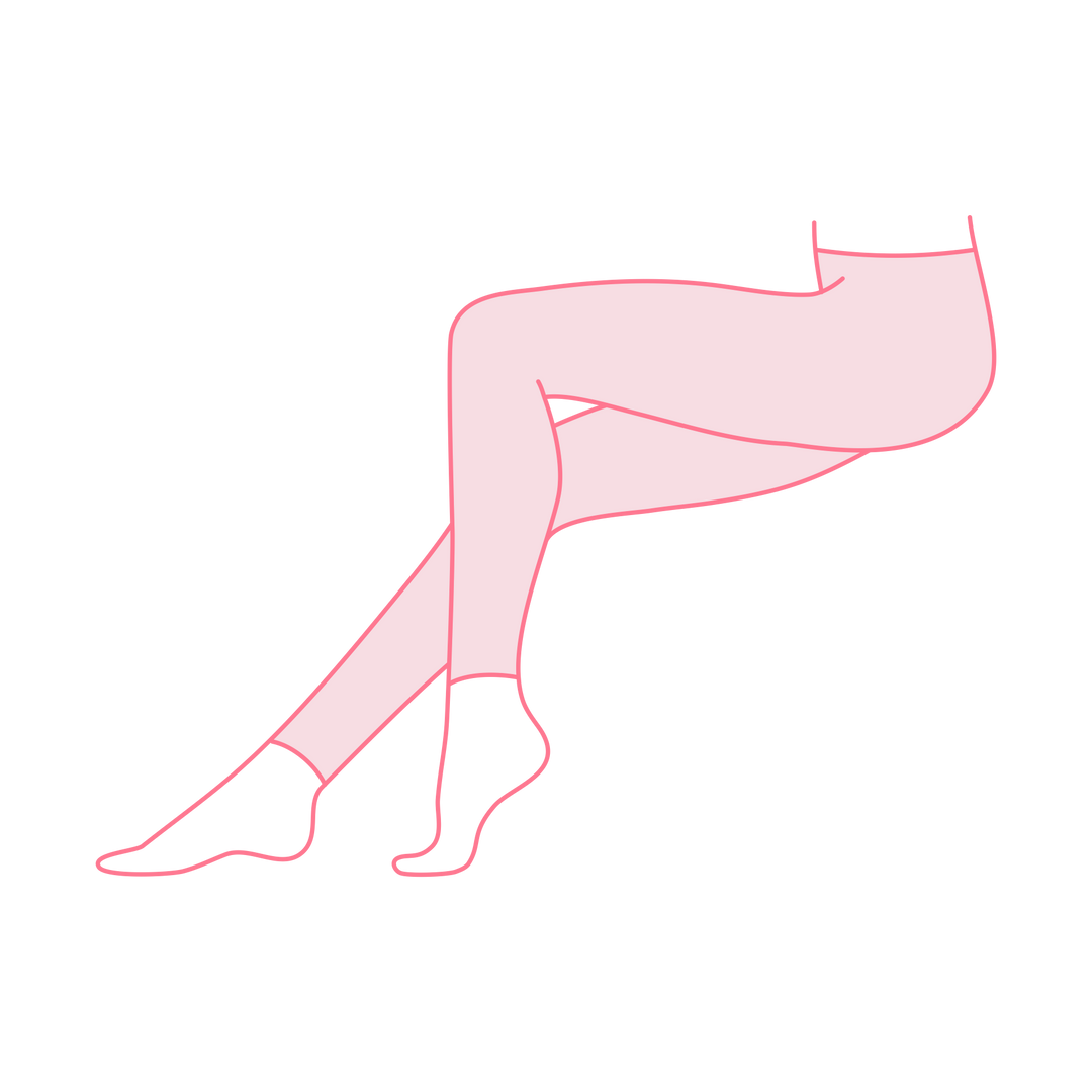 Women Leggings