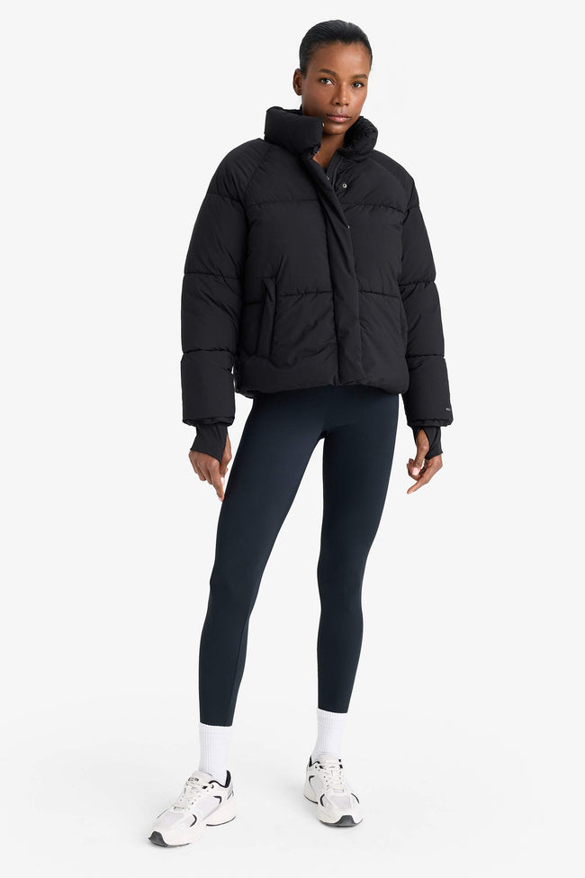 Water Repellent Regular Fit Stand Collar Raglan Sleeve Winter Puffer Coat Main Image