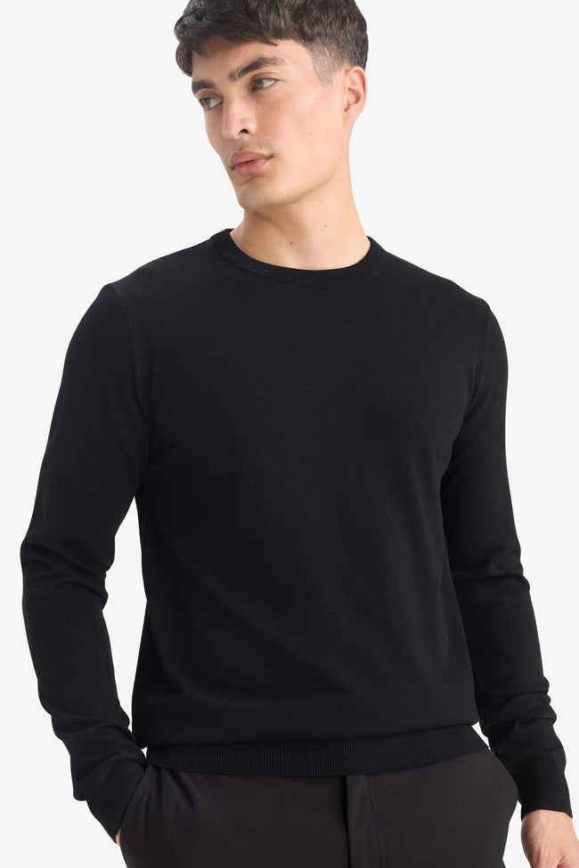 Regular Fit Crew Neck Basic Plain Premium Knitwear Sweater Hover Image