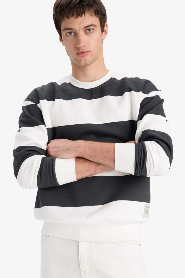 Boxy Fit Crew Neck Striped Sweatshirt Hover Image