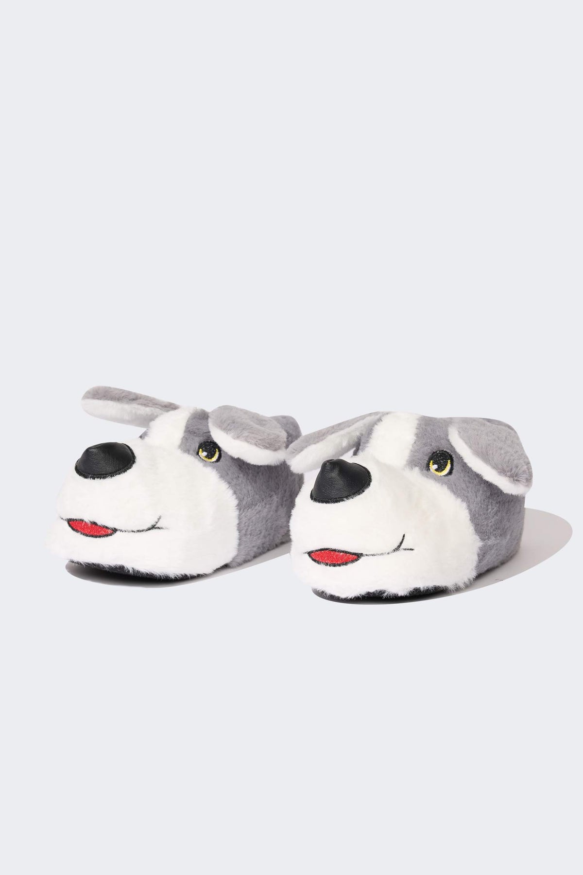 Boys Dog Themed Flat Sole Slippers