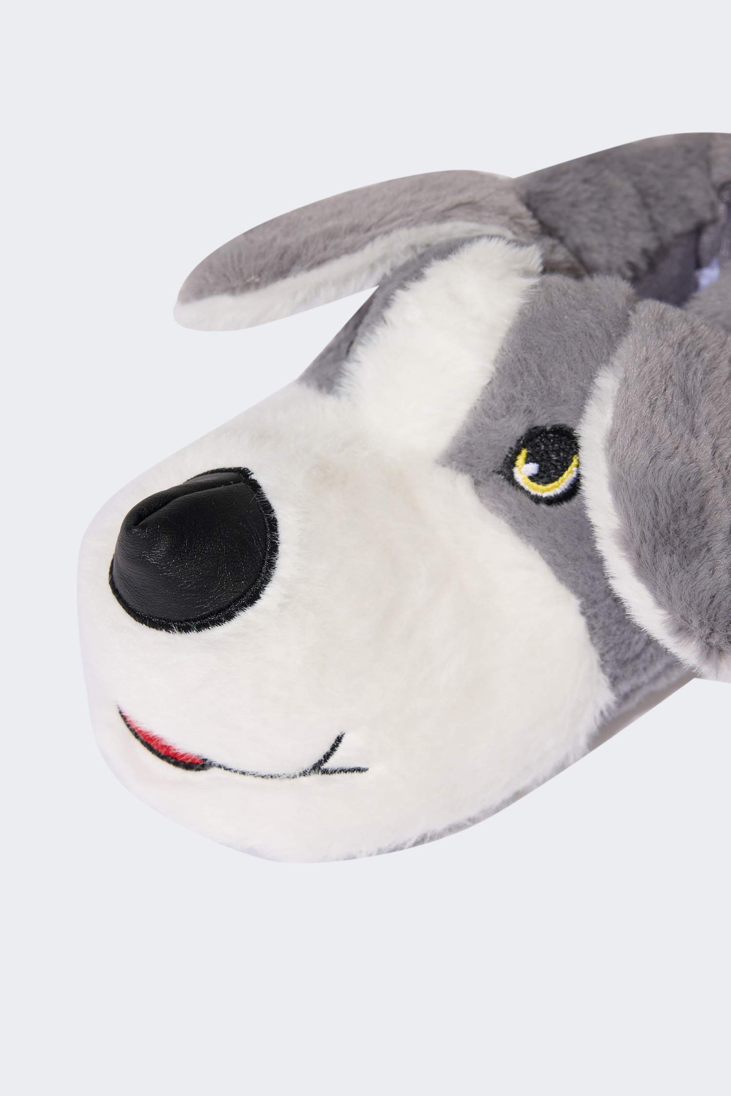 Boys Dog Themed Flat Sole Slippers