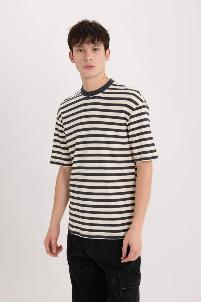 Boxy Fit Crew Neck Striped T-Shirt Hover Image