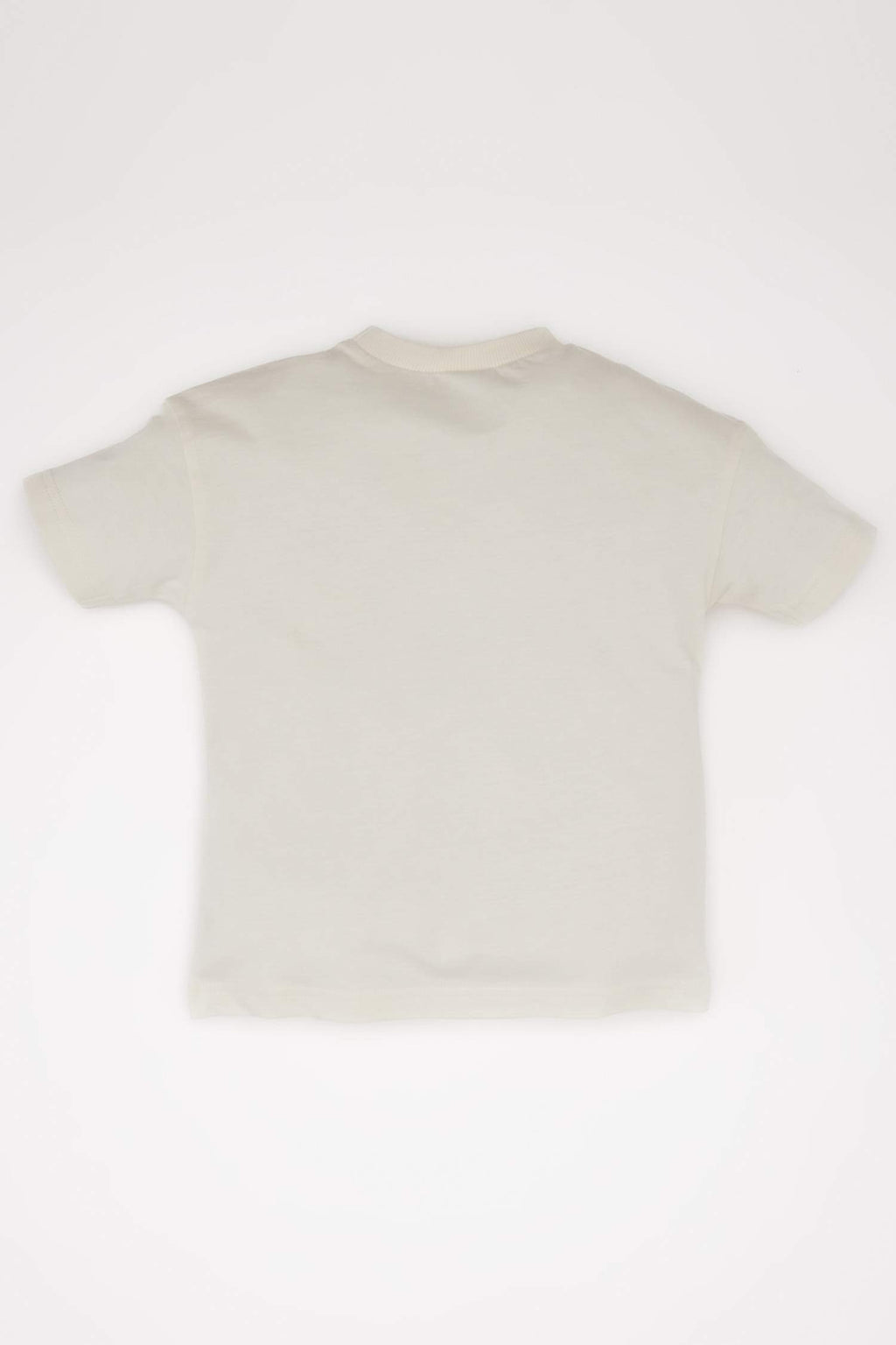 Baby Boy Regular Fit Crew Neck T-Shirt